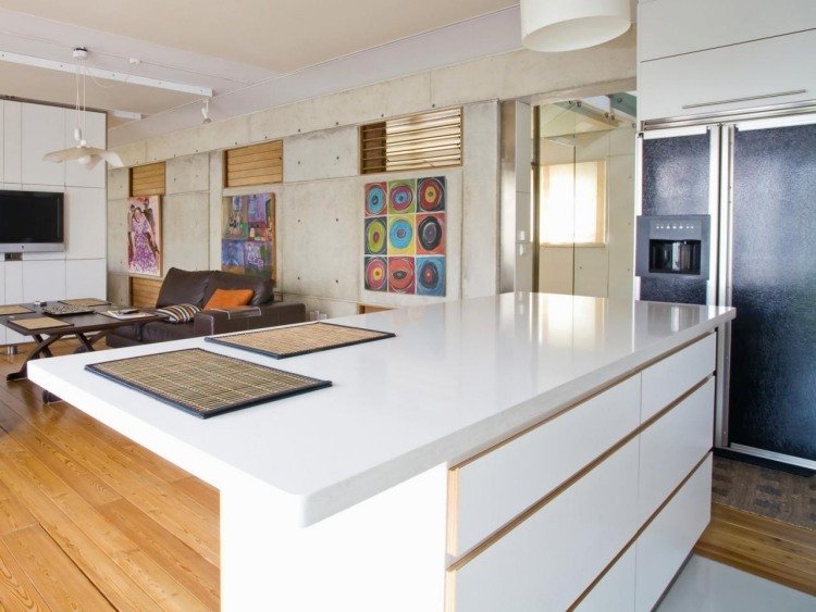 professionellt utformad-kök-kök-ö-vit-modern-industriell-design-betong-bilder-färg