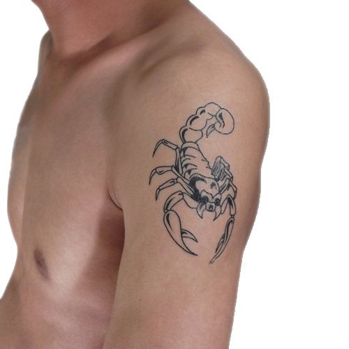 Skorpionin väliaikaiset tatuoinnit miehille