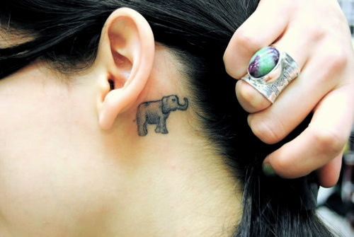Pieni norsun tatuointi korvan takana