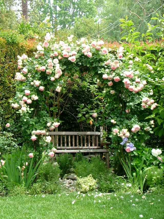 Trädgårdsbänk rosor blommor trädgård form gräsmatta