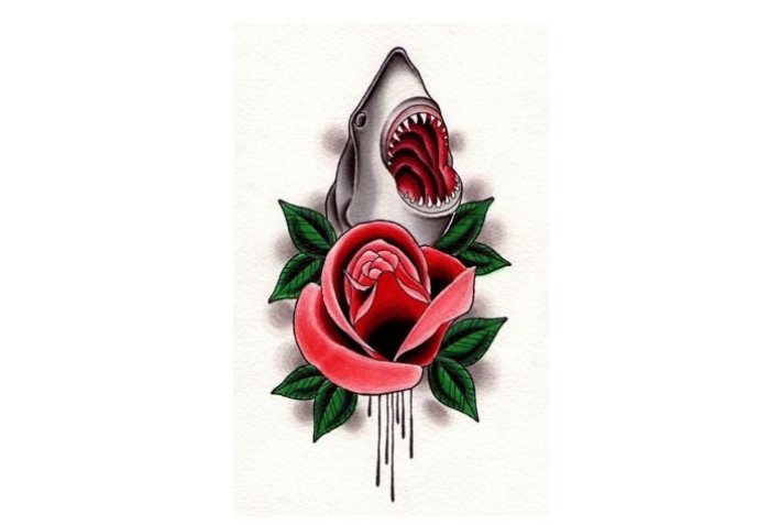 röd ros haj tatuering idéer tatueringar