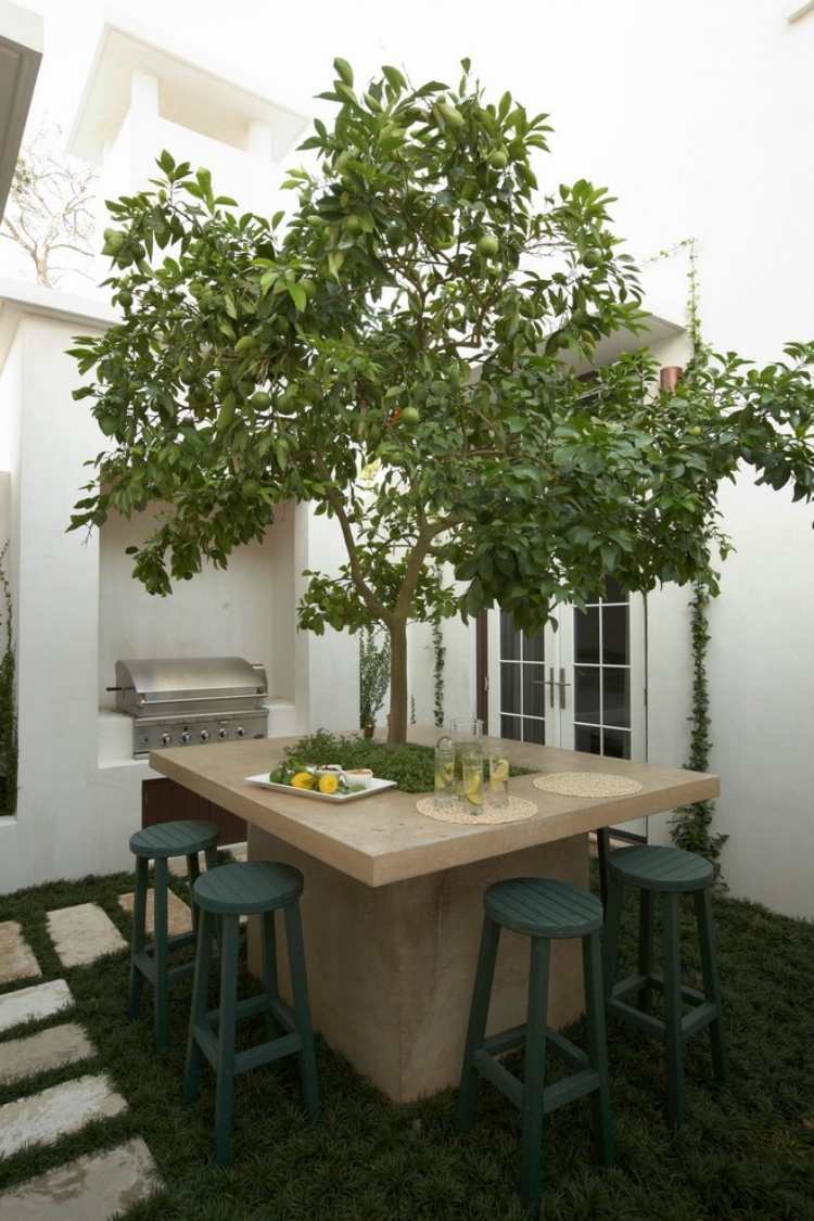 trädgård design-mediterranes-stil-bar-träd-mitten