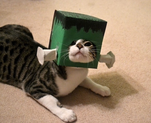 Kattkarnevalskostymidéer Frankenstein -pappersmall