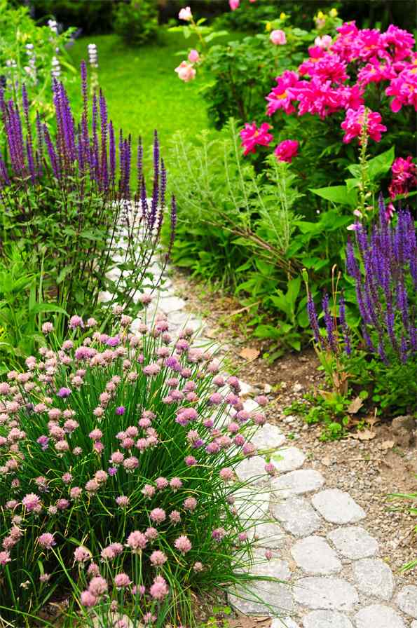 gångväg trädgård bana blommande perenner växter