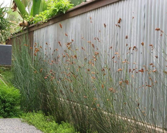 trädgård staket idéer sekretess skärm framgård wellpappar paneler deco gräs