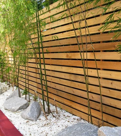 trädgård staket idéer sekretess skärm framgård bambu växter stenar