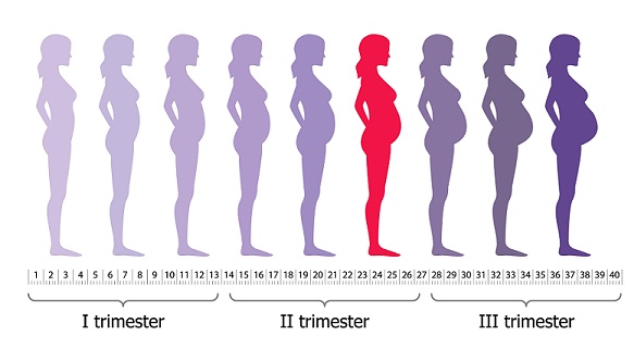 Δίαιτα εγκυμοσύνης 6ου μήνα