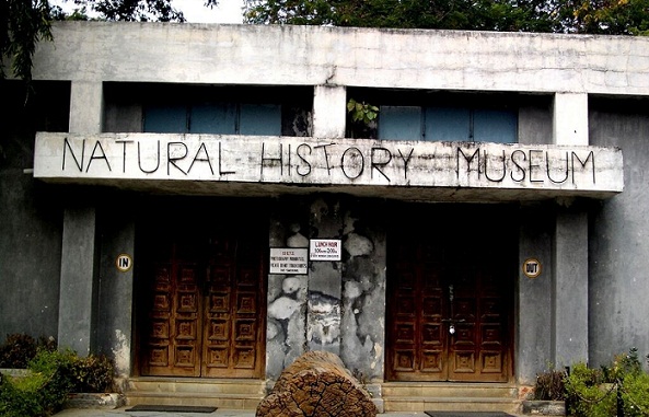 Kuuluisia luonnonhistoriallisia museoita Hyderabadissa