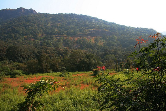 Mollem National Park Goa