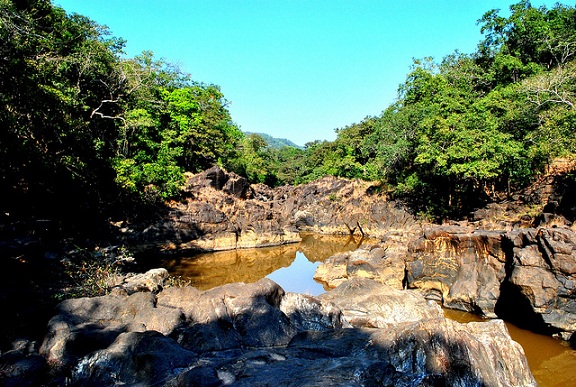 Netravali Wildlife Sanctuary Park στη Γκόα