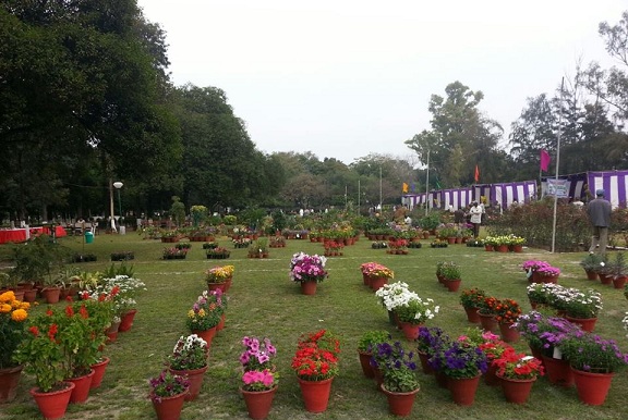 puistot Ludhianassa