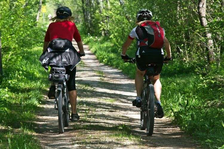 mountainbike stretch cykelväg cykelväg touring trail skog