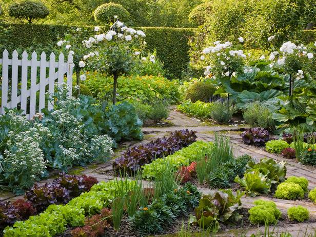 tips trädgård vattna grönsaker växtdelar
