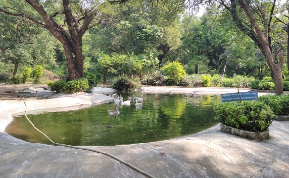 puistot-in-ahmedabad-indroda-luonnonpuisto