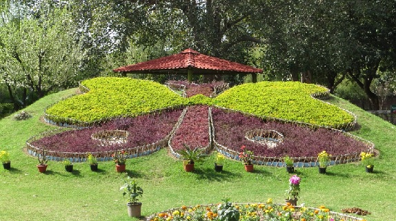parks-in-chandigarh-butterfly-park