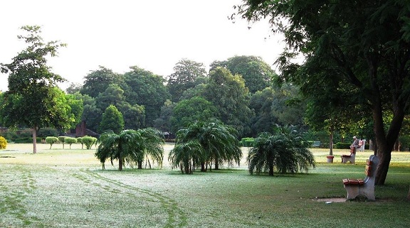puistot Chandigarhissa