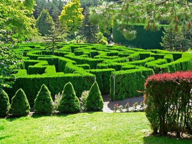 VanDusens botaniska trädgårdsinspiration skapar en labyrint själv