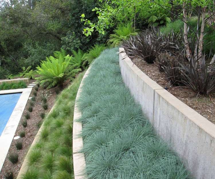 Stöd-vägg-trädgård-betong-olika-prydnads-gräs-typer-varje-terrass