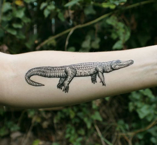 Alligaattorin tatuointimallit 7