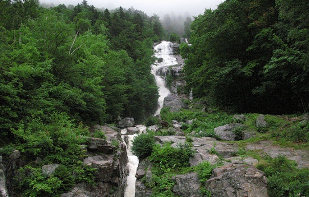 Kuuluisia metsäleirintäalueita-valkoisia vuoria Maine ja New Hampshire