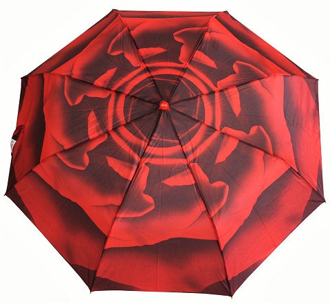 Casual Printed Umbrella