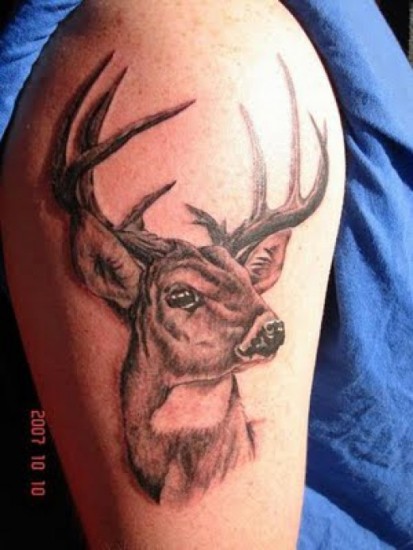 Kohokuvioitu Deer Tattoo Design