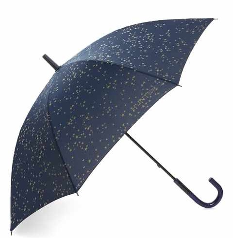 Constellation Print Umbrella
