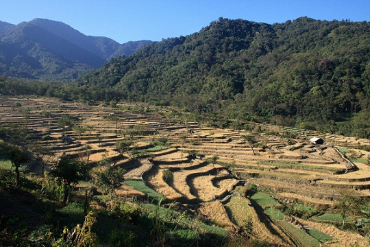 Μέρη του μέλιτος στο πράσινο χωριό Nagaland-Khonoma