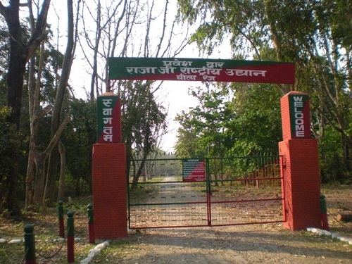 Εθνικό Πάρκο Rajaji