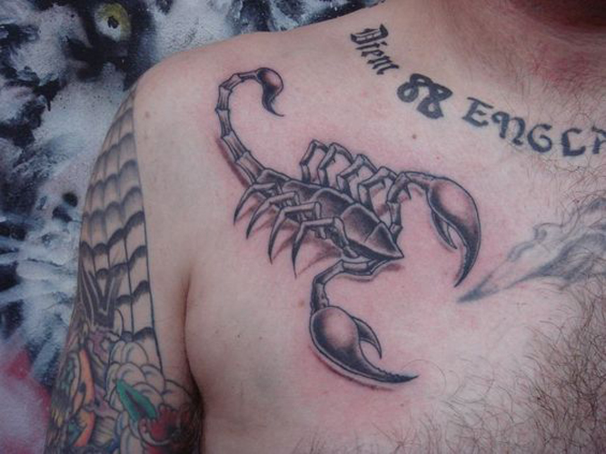 Parhaat Skorpionin tatuointimallit ja merkitykset 8