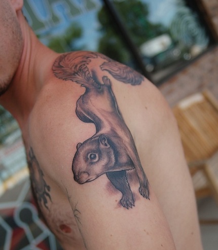 Αναρριχώμενο στυλ Squirrel Tattoo