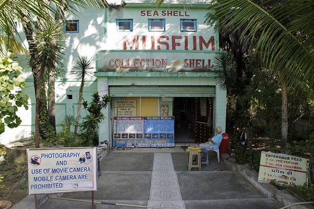 shell-museum_diu-τουριστικά-μέρη