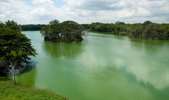 Φυσικό πάρκο λίμνης Karanji Διάσημα πάρκα στο Mysore