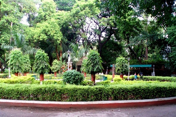 puistot Punessa
