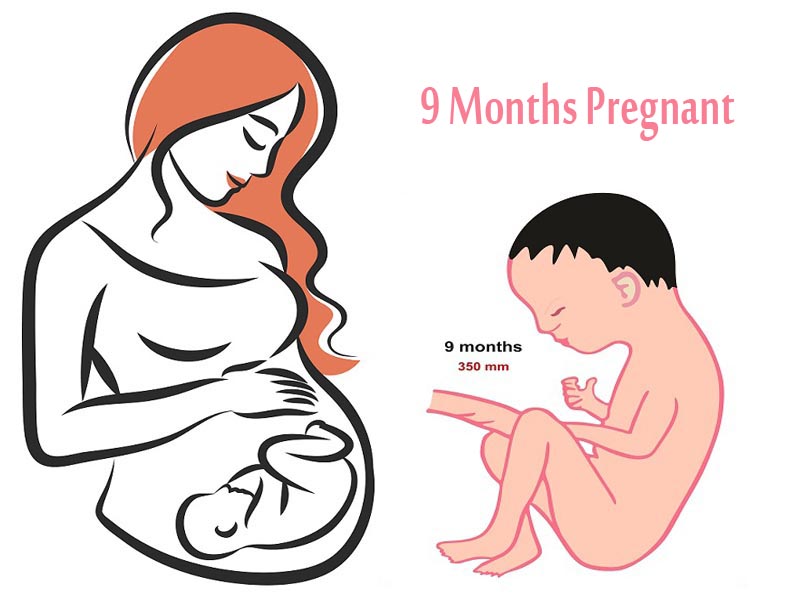 9. raskauskuukausi