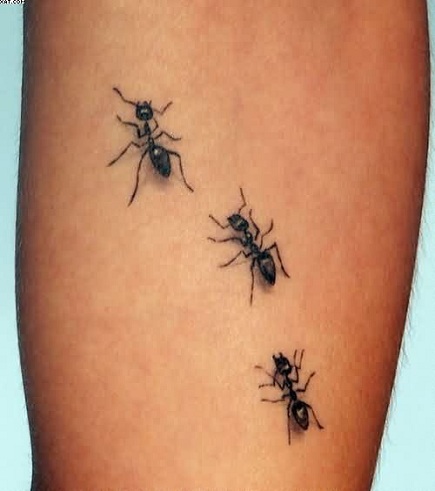 Τατουάζ μυρμηγκιών