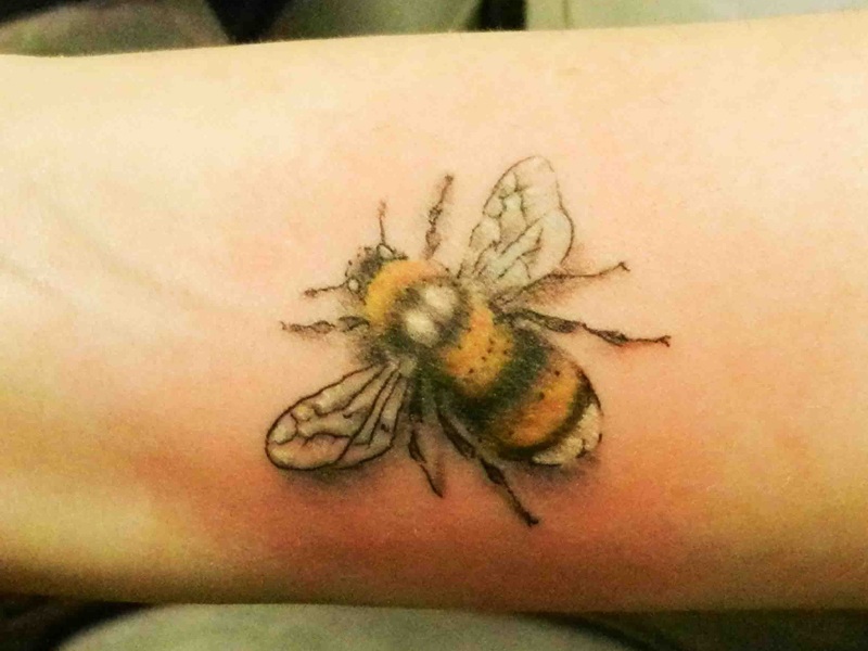 Kauniita hyönteisten tatuointeja naisille ja miehille