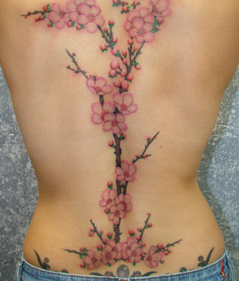 Takaisin Frangipani Tattoo