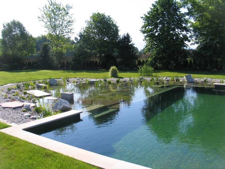 bio-simning-damm-trädgård-naturlig pool