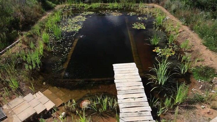 bio-simning-damm-trädgård-tång-filter-vatten