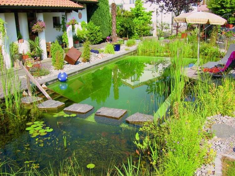 naturlig-pool-trädgård-skapa-grönt-vatten