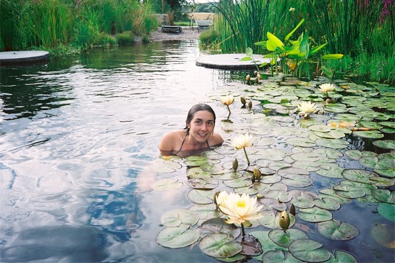 naturlig pool trädgård näckrosor vattenrening