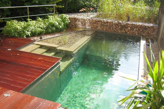 Ekologisk simdamm trädgård olika nivåer av trappor