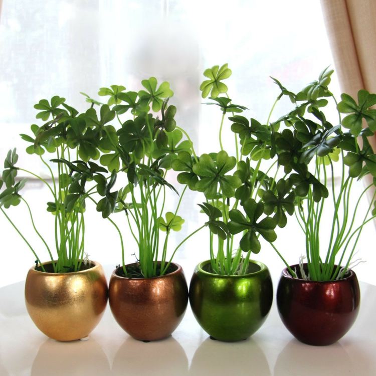lättskött inomhus växter klöver-metalliska-blomkrukor-modern-idé