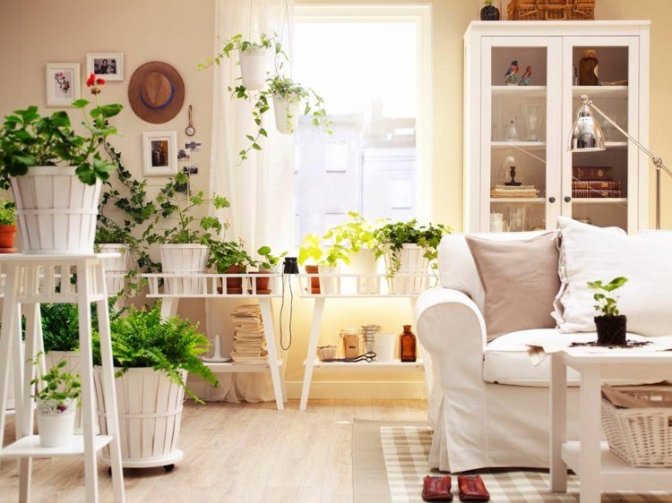 lättskötta växter design-interiör-idé-vita-möbler