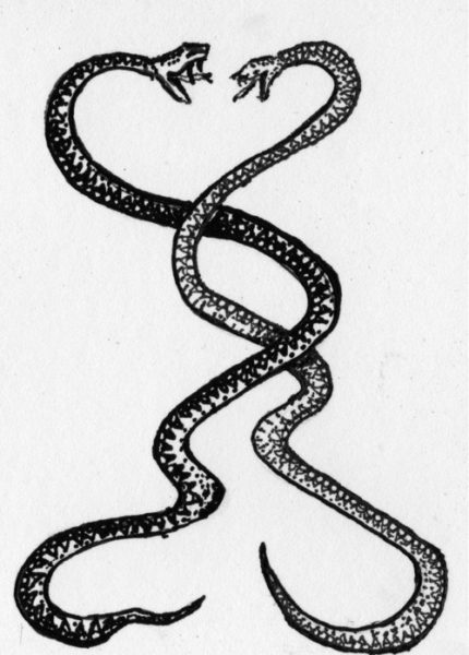 Romanttinen kietoutunut käärme tatuointi