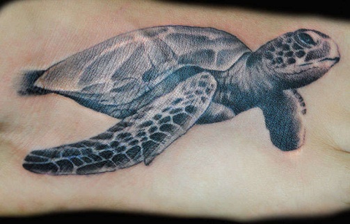 3D kilpikonnan tatuointi
