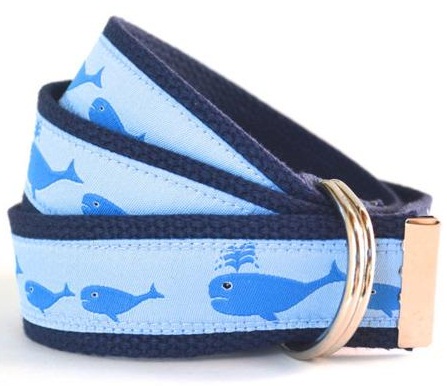 Sininen Fishy Belt