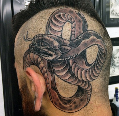 Cobra Tattoo στο κεφάλι ειδικό μοτίβο