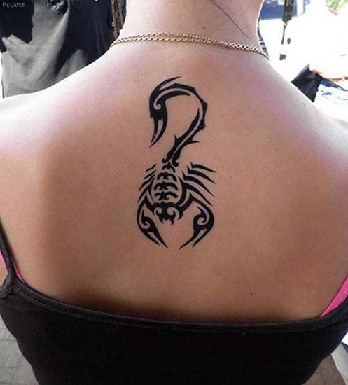 Scorpion Tribal Tattoo -mallit 2